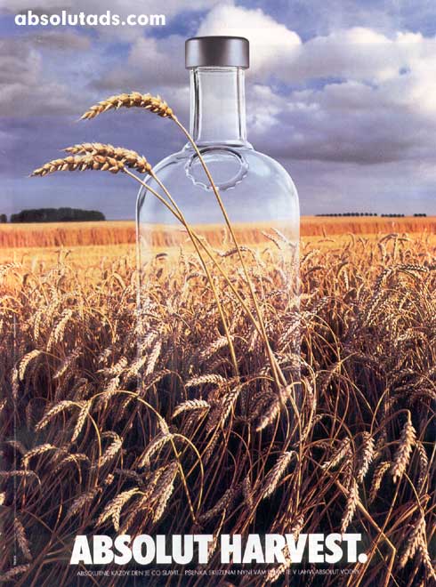 Absolut Harvest